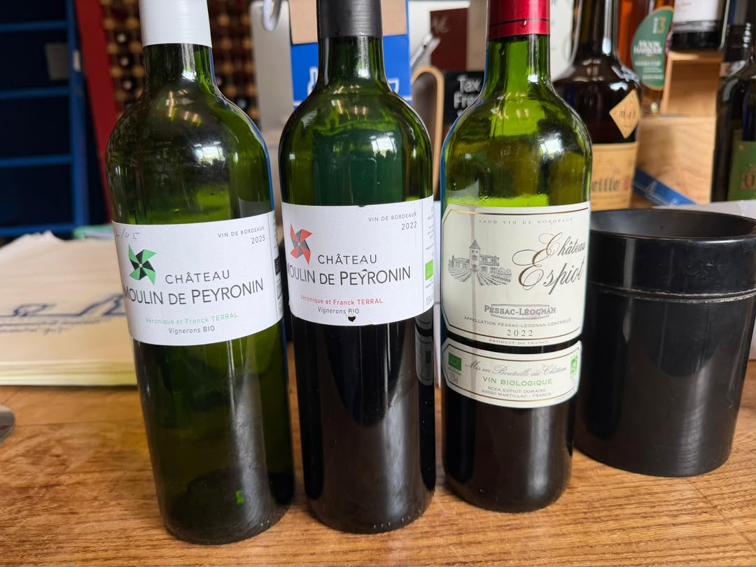 Bordeaux wines lined up for tasting